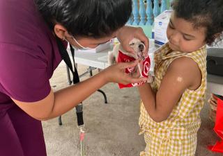 Vacunación a mascotas domésticas en Tortí como estrategia en salud pública