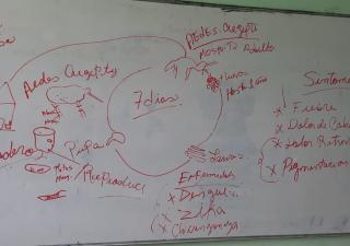 Crean brigada escolar de caza mosquitos, caza Humo y Ligas Antitabaco en Panamá Este