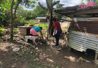 Promoción de la Salud sensibiliza a la población en Panamá Este en la eliminación de criaderos de mosquitos