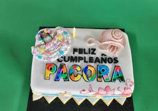 Celebración de la clausura del mes de la etnia negra en Pacora, Panamá Este