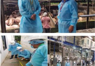 Región de Salud de Panamá Norte ha inspeccionado 217 establecimientos de interés sanitario