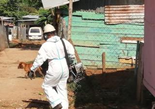 Autoridades de salud en Panamá Oeste coordinan acciones contra el dengue