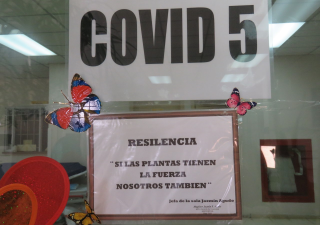 Sala COVID 5 del Hospital Regional Nicolás A Solano, lugar de batallas, pero llena de esperanza en pacientes