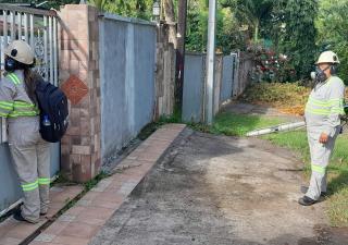 Control de Vectores intensifica la lucha contra criaderos de mosquitos en Panamá Oeste