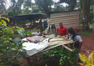 y La Chorrera, distritos con mayor casos de dengue en Panamá Oeste