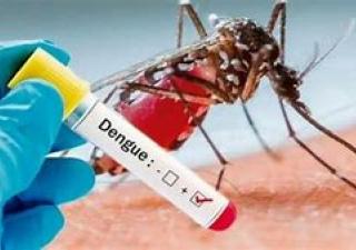 Equipo de Control de Vectores se mantienen activo para evitar criaderos de mosquitos en Panamá Oeste