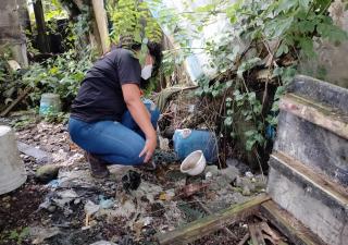 Panamá Oeste registra 349 casos por Dengue. 
