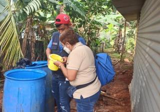 Panamá Oeste activos contra el mosquito transmisor del Dengue 