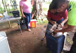 Gira de atención a mascotas en el Arado, La Chorrera