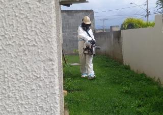 Minsa en Panamá Oeste continúa acciones para erradicar el dengue