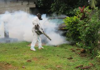 Panamá Oeste interviene comunidades por alto índices de infestación por dengue