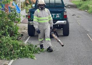 Redoblan acciones en la provincia de Panamá Oeste para eliminar criaderos de mosquitos 