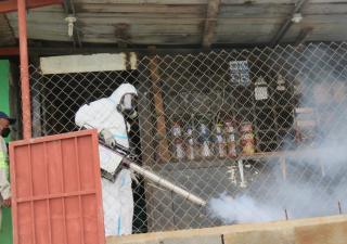 Continúa lucha por bajar cifras de dengue en Panamá Oeste