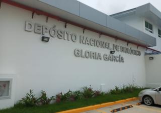 Equipos de salud se preparan para la Semana de Vacunación de las Américas