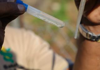 MINSA despliega intenso operativo contra el Dengue en Pedregal 