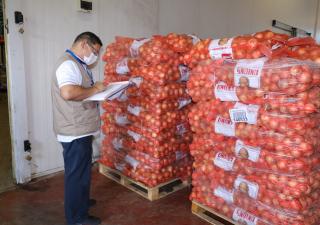 23 mil libras de cebollas se decomisaron en operativo de vigilancia sanitaria en Merca Panamá