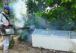 Coclé intensifica campaña contra el dengue