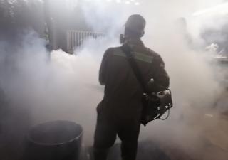 Regional de Colón hace llamado a la comunidad a eliminar los criaderos de mosquitos