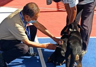 Jornada de vacunación para gatos y mascotas en Río de Jesús