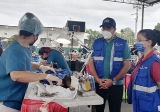 MINSA en Herrera apoya jornada de esterilización de animales 