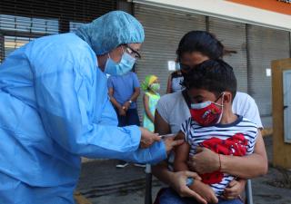 591, 078 dosis de influenza han sido aplicadas a nivel nacional 