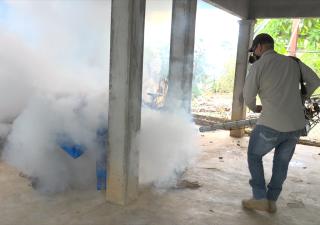 En Felipillo control de vectores interviene por casos confirmados de dengue 