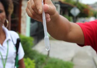 San Miguelito, confirma 255 casos de dengue en lo que va del 2023