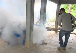 Sin defunciones, ni dengue grave destaca informe en la Región Metropolitana 