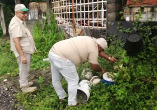 Operativos de verificación de cumplimientos de normas sanitarias a locales de interés en ciudad capital