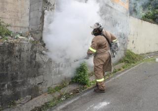 Eliminar los criaderos de dengue es importante en San Miguelito