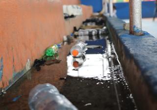 Dengue: un flagelo que debemos combatir