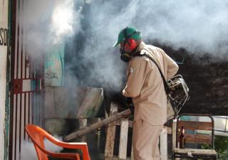 San Miguelito, confirma 119 casos de dengue en lo que va del 2023
