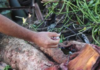 Regional de San Miguelito exhorta a la limpieza de predios