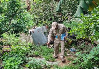 Minsa insta a la población a redoblar acciones contra el dengue