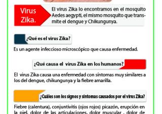 NO BAJES LA GUARDIA * Evita el virus de la influenza / Síndrome Gripal * RECOMENDACIONES