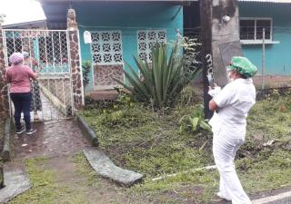 Realizan trazabilidad en el distrito de Antón