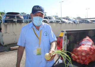 Mas de dos toneladas de cebollas decomisadas en Veraguas
