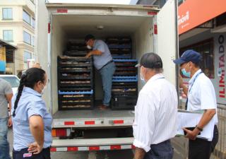 Ministerio de Salud reforzará cumplimiento de normas y mediadas en fiestas patronales de Santiago