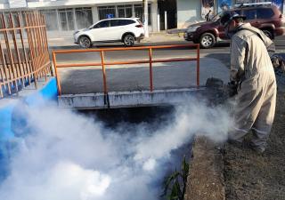 Control de Vectores redobla acciones en carnavales