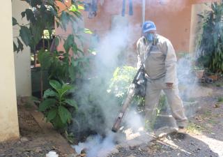 Buscan prevenir casos de Dengue en Veraguas