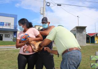 Jornada de vacunación para perros y gatos en Las Torres de San Antonio 