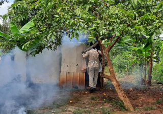 Operativo contra el dengue en Veraguas