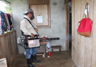 Prevención, mejor herramienta contra la Malaria  
