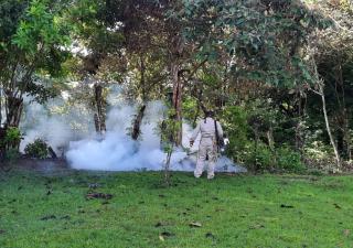 Se realizan operativos para eliminar criaderos en Veraguas