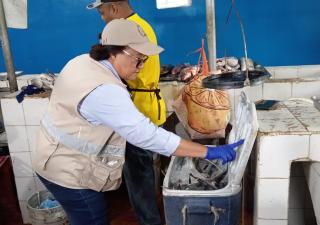 Minsa realiza operativo sorpresa a vendedores de alimentos en Penonomé y Aguadulce
