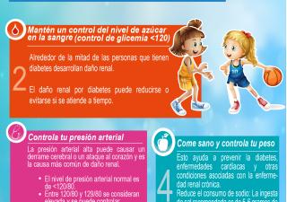 Cuidado de los RIñones