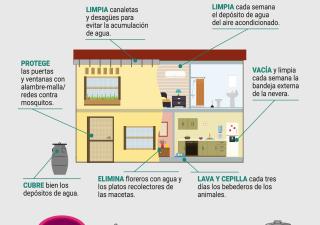 Volantes - Mesa de Trabajo Dengue