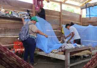 Reiteran a la población redoblar medidas para prevenir el dengue y otras enfermedades
