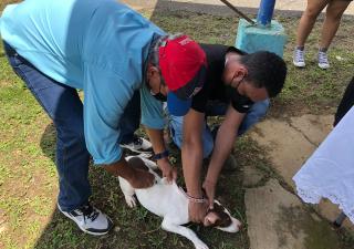 Promueven tenencia responsable de mascotas en Ocú 