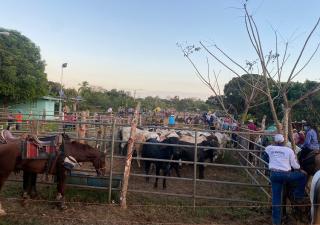 Minsa inspecciona eventos y establecimientos de interés sanitario en Los Santos 
